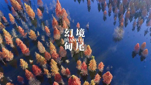 冰火人魔法森林大冒险2