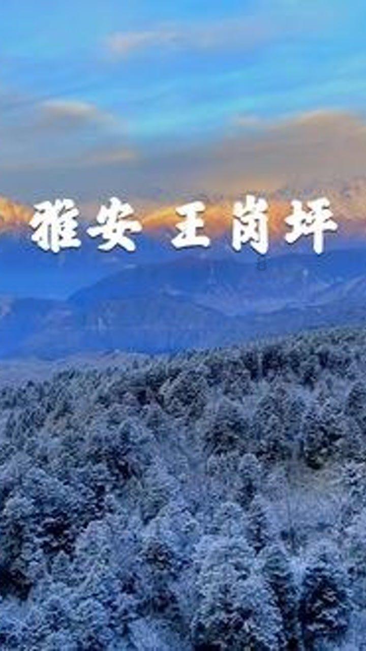 5本架空历史小说推荐,远超《汉乡》,与《唐砖》不相上下