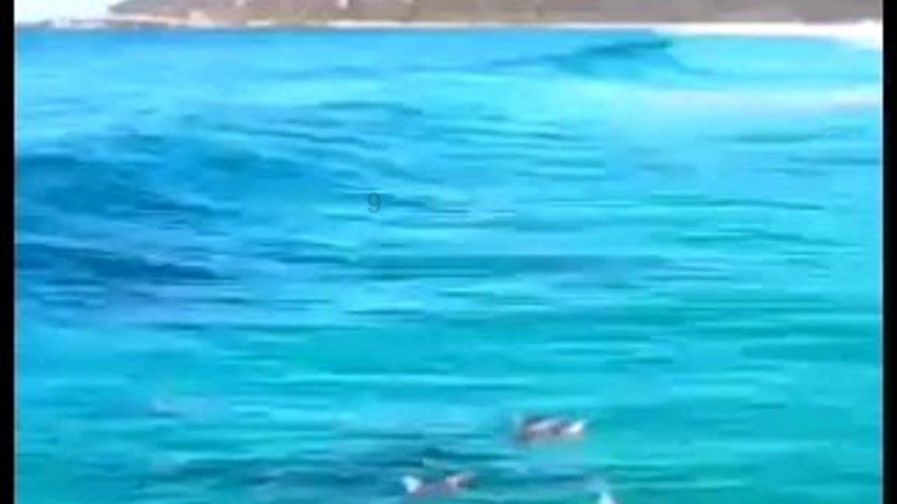 上升的五彩石