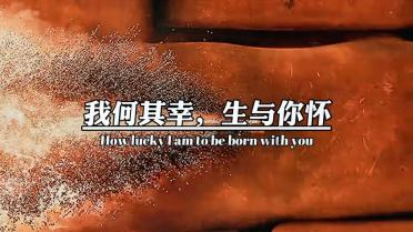 枪血黑手党